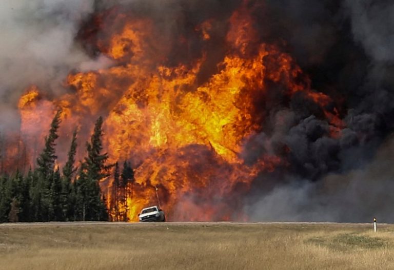 The wildfire tragedies – a call for radical action against global warming