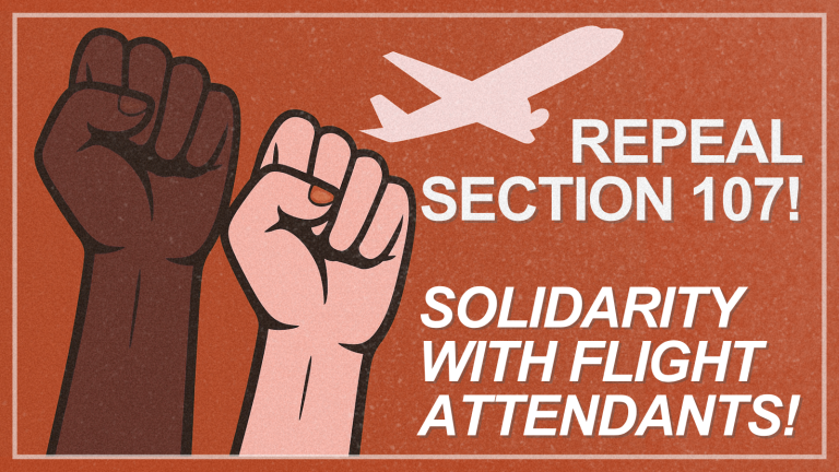 Solidarity with flight attendants, Repeal Section 107
